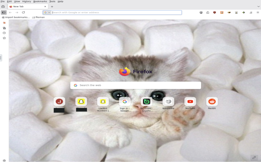 Figure 1: Firefox running inside an exposed noVNC session.