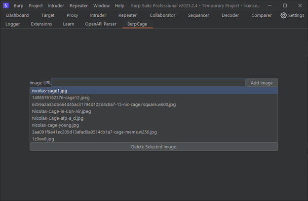 Figure 14 – The intuitive BurpCage user interface