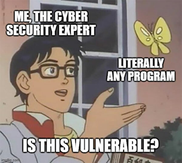 Cartoon of a cybersecurity man with a butterfly representing literally any program asking the question: Is this Vulnerable?