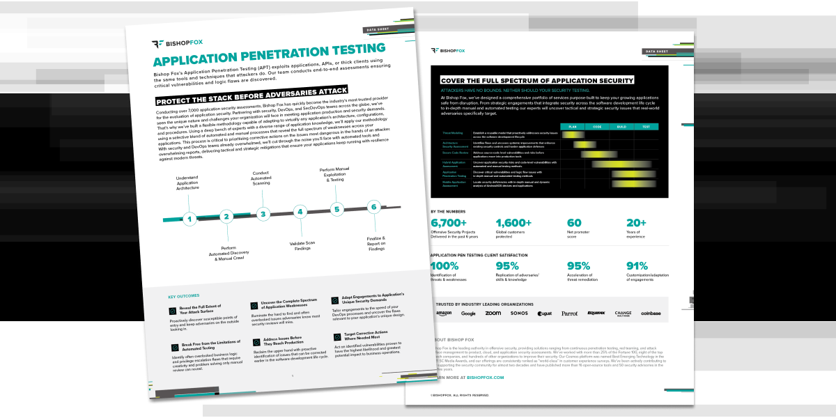 BFX web OG Resources Application Penetration Testing Data Sheet Image Only 3