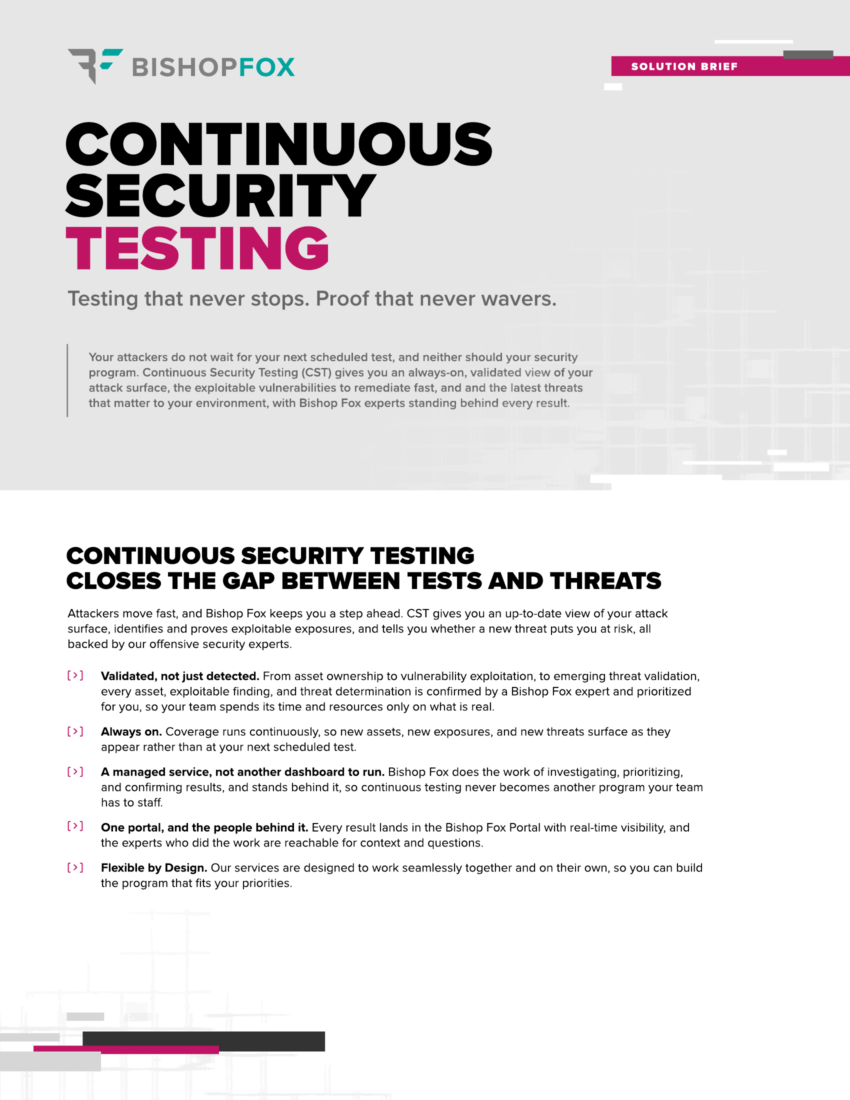 Continuous Security Testing Solution Brief
