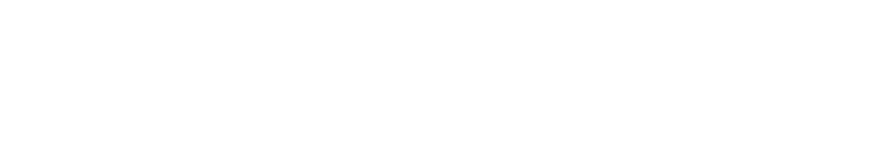 PNS logo white