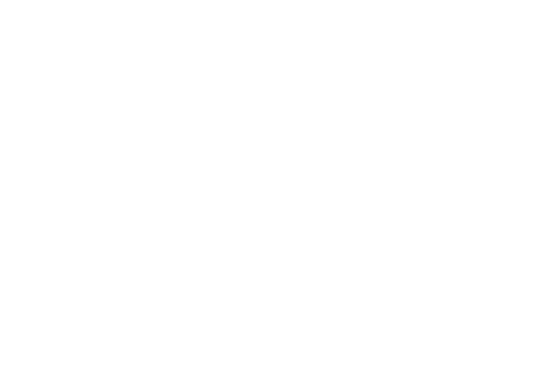 ZD logo white