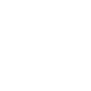 Fictional Energy logo for case study on fortune 500 energy company.