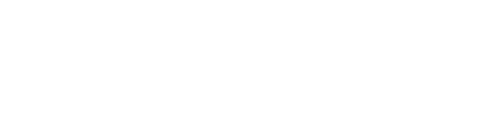 Bishop Fox partner Defy Security logo.